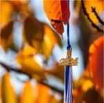 A blue and white tassel with a 2024 charm hangs among colorful leaves.